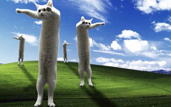 Жалгас Кадирбек