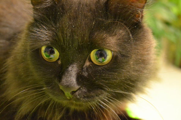 Наталия Пономарева