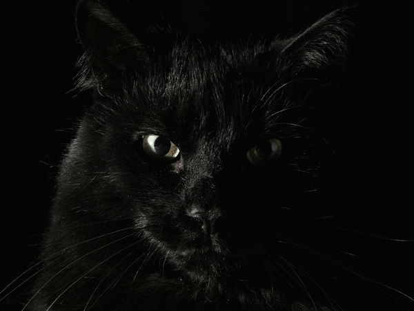 Татьяна Возгорькова)