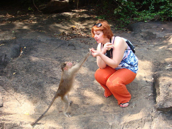 Елена Хоменкова