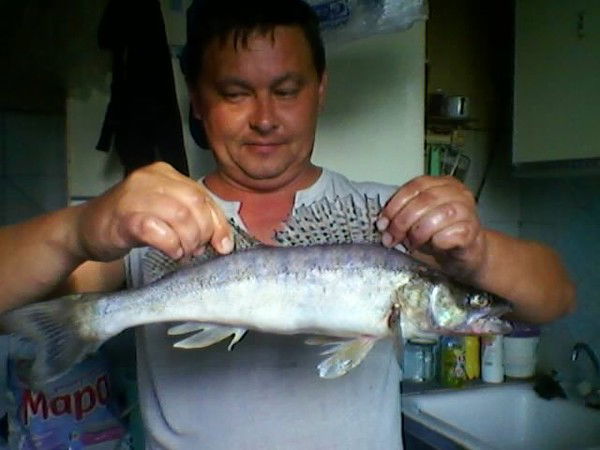 Александр Мануйко