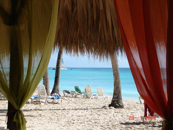 Леонид Щетник