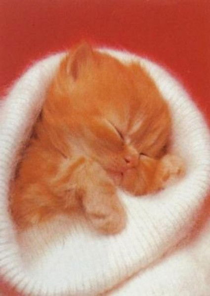 Ольга Велешкова