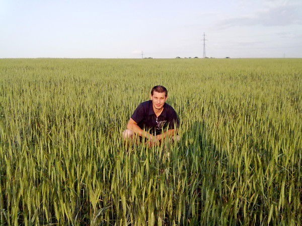 Андрей Скороходов