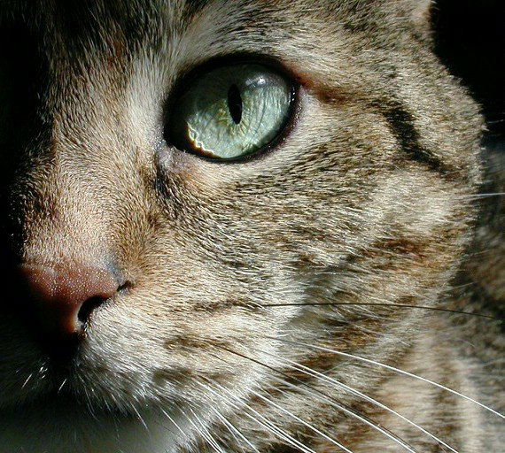 Сергей Пинсквер