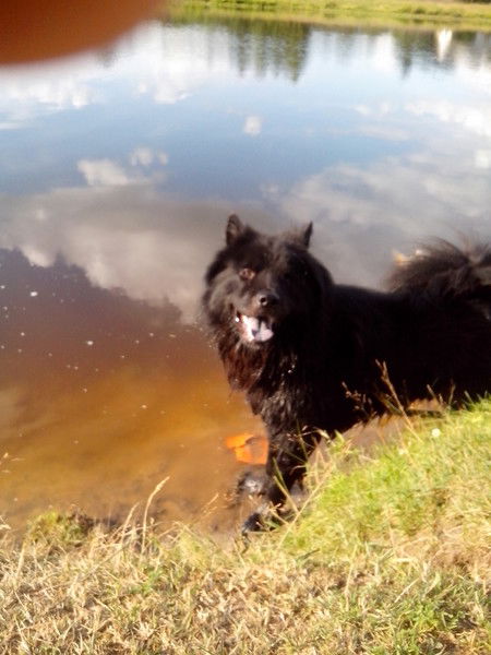 Катерина Храпко