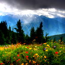 Андрей Андреев