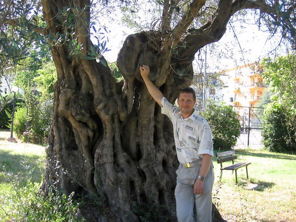 Александр Ледяев