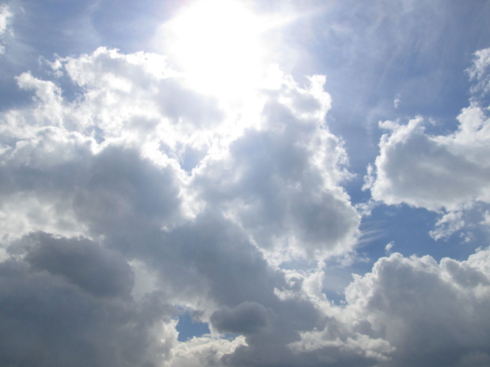 Александр Яшунин