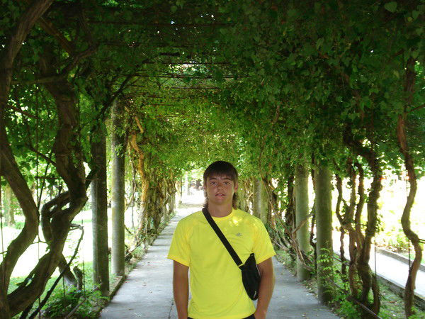 Дмитрий Моисеенко