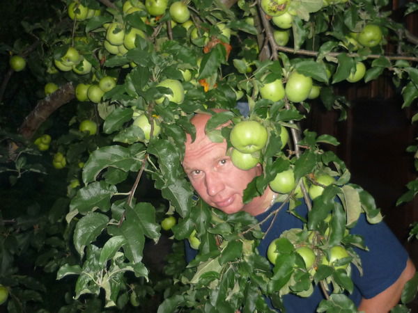 Альберт Лавров