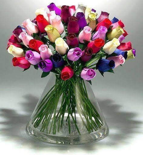 Елена Четверикова