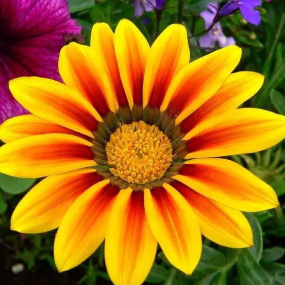 Татьяна Иванцова