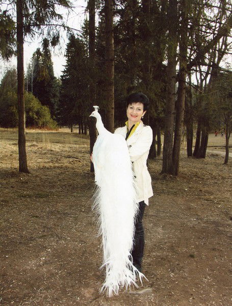 Лариса Иванова-Коллегова