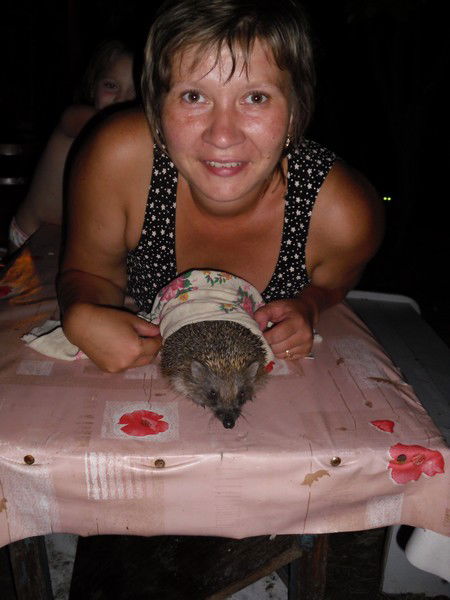 Елена Донцова