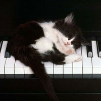 Петр Петров