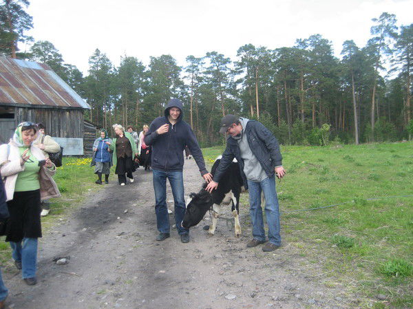 Николай Кулалихин