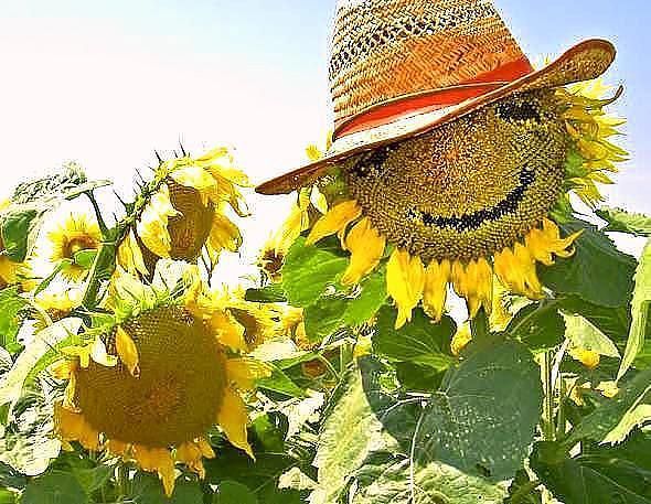 Сергей Pozitiv