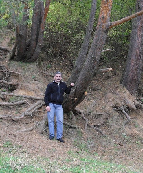 Сергей Горбачев