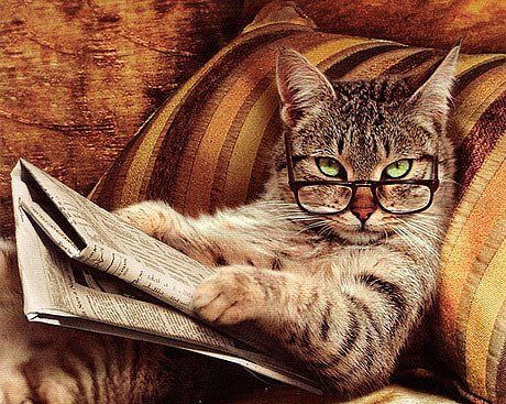 Николай Садчиков