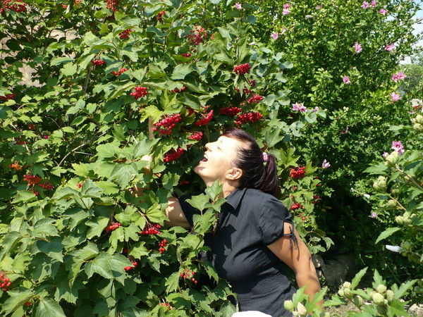 Виктория Шумакова