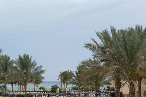 Александр Савицкий