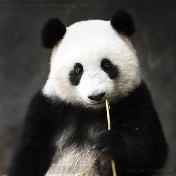 Юлианна Минакова