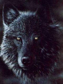 Семён Сидоров