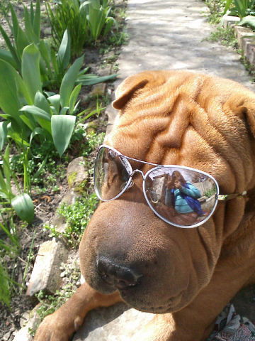 555 Токарева