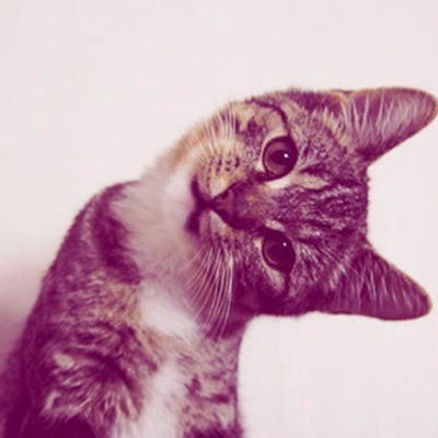 Светлана Кузнецова