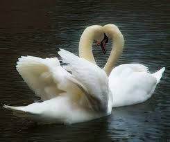 Сергей Туманов