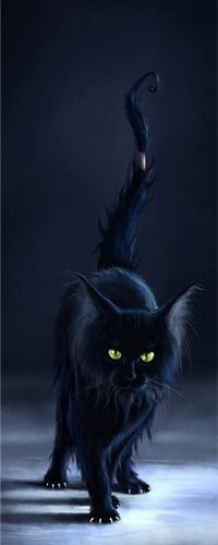 Сашенька Прекрасная