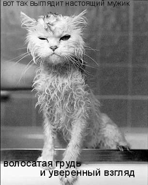 Алмат Болеков