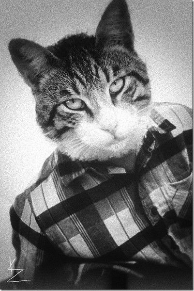 Алексей Егоров