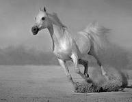 Любовь Грехова