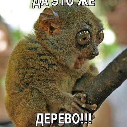 Роман Фролов