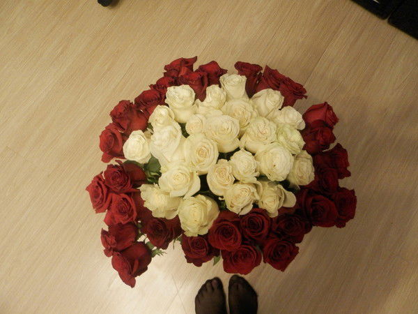 Елена Андреева