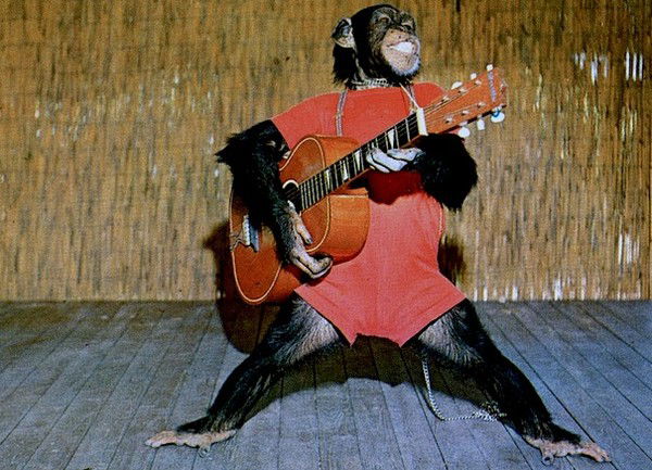 Алексей Бритов