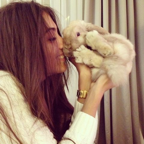 Каролина Рулет