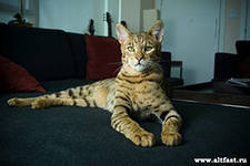 Надежда Таркаева