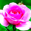 Ольга Мурзина