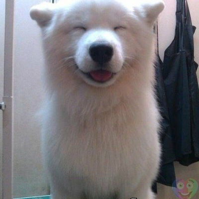 Саддам Абдурахманов