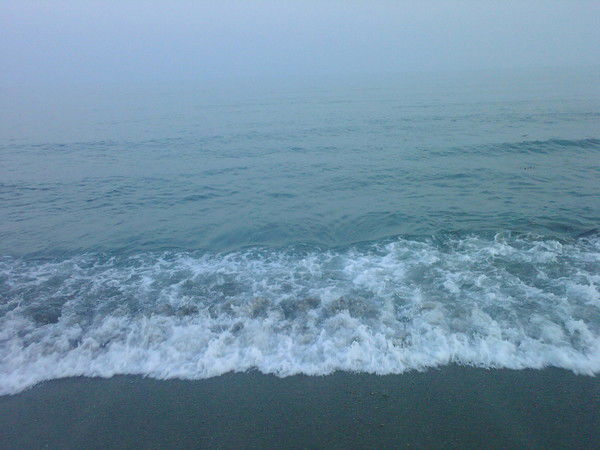 Елена Хамзина