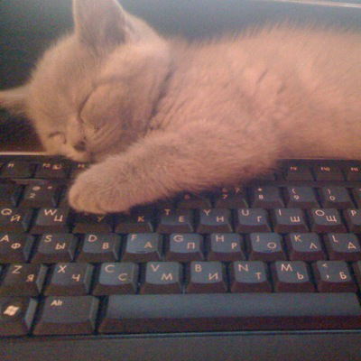 Марина Илющенко