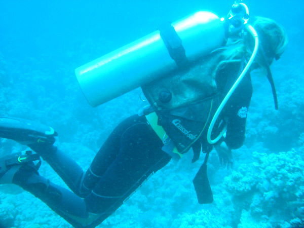 Денис Екимов