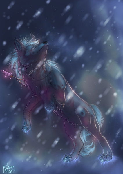 Торик *kiwi* Клейн