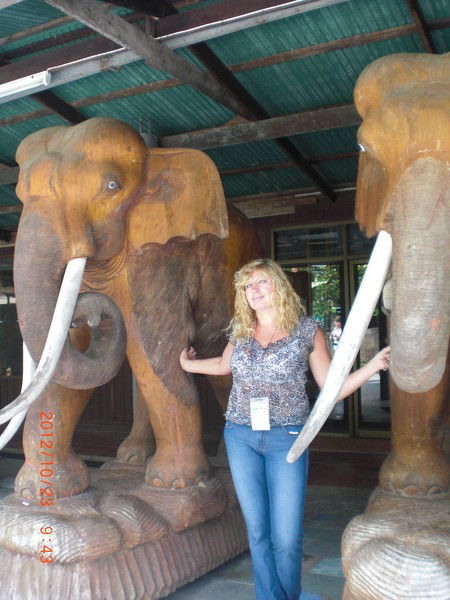 Елена Полякова