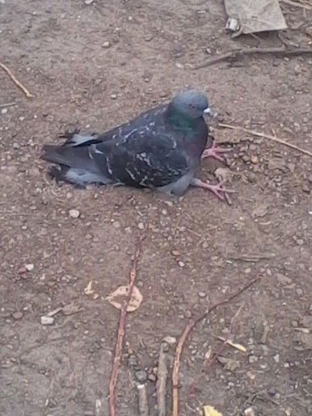 Серёжа F,htrjc