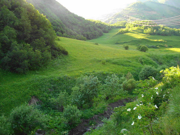 Усзн В Мо Бежтинский Участок