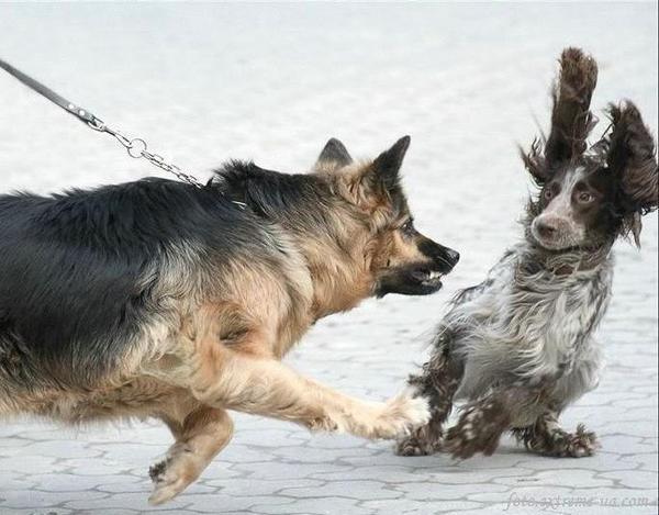 Инна Фокина